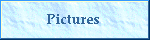 Pictures